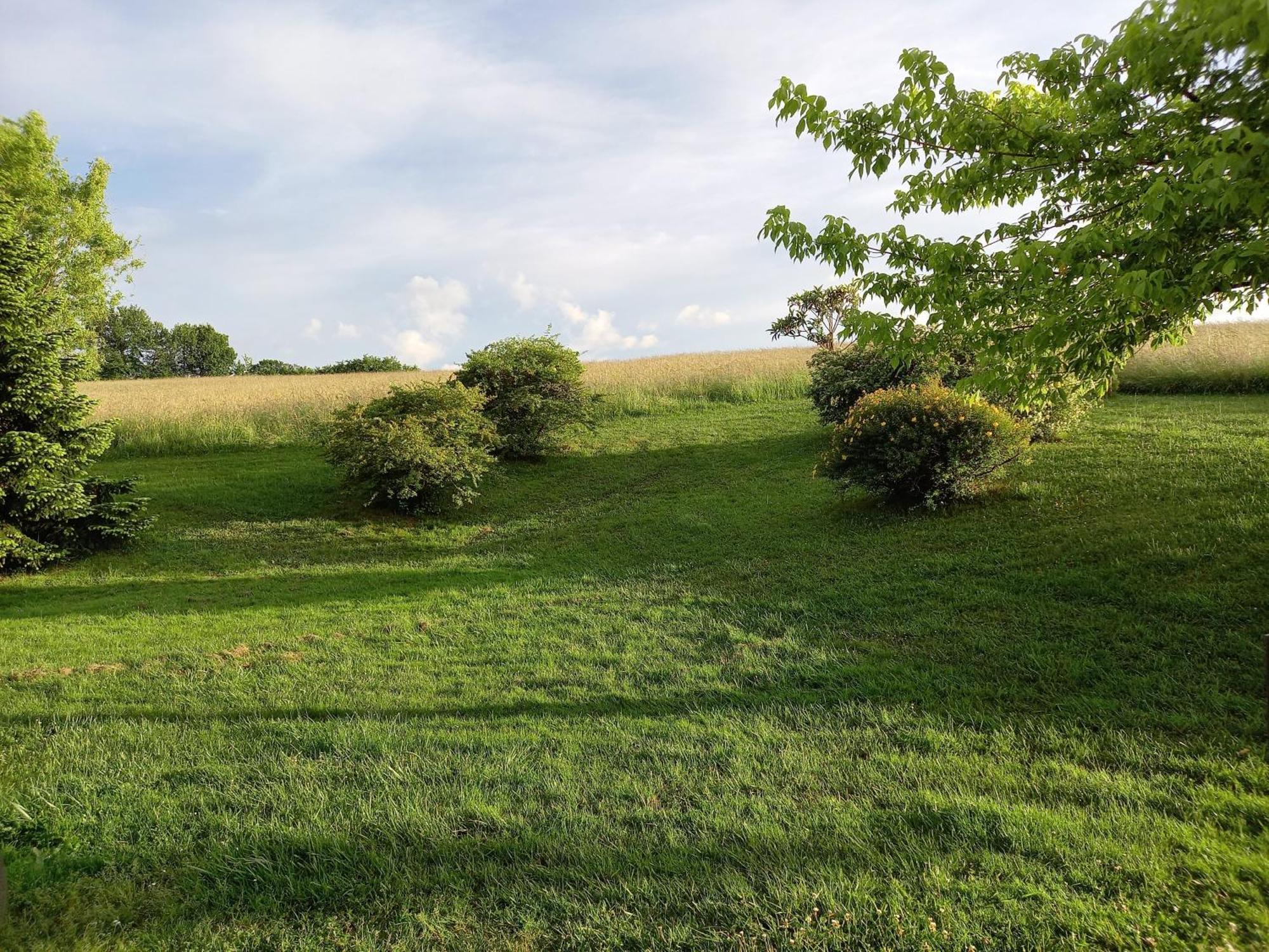 La Serenite Saint-Vivien-de-Monségur Buitenkant foto